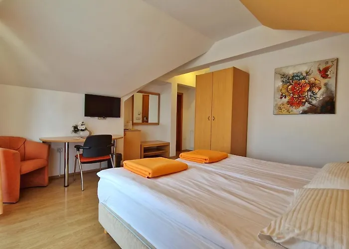 Πανσιόν Kovac 3*