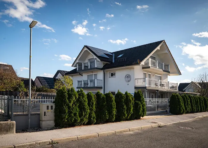 بينزيون كوفاتش